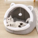cat bed