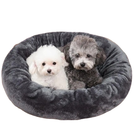 dog beds